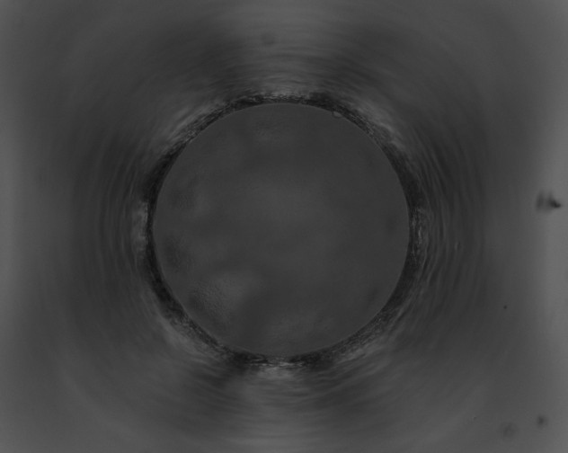 X0000091460550200708301833