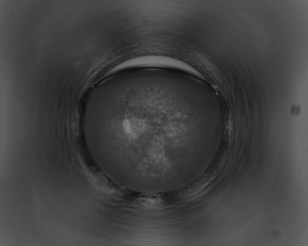 X0000091460552200708301833