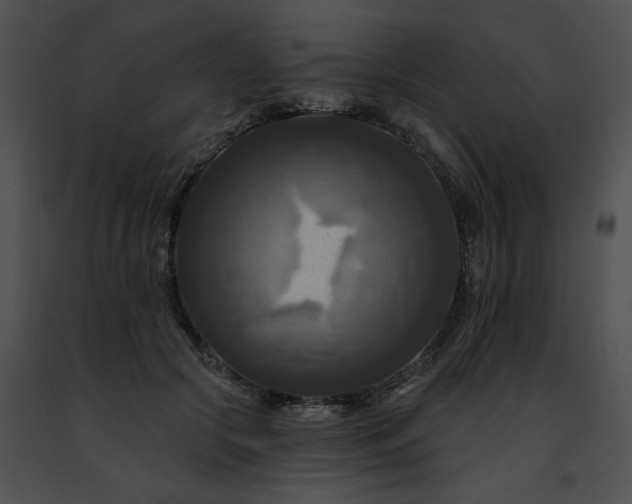 X0000091460553200708301833