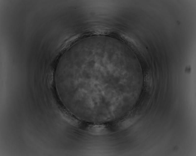 X0000091460554200708301833