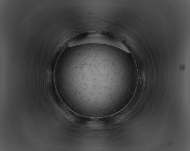 X0000091460556200708301833