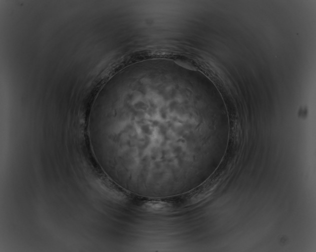 X0000091460557200708301833