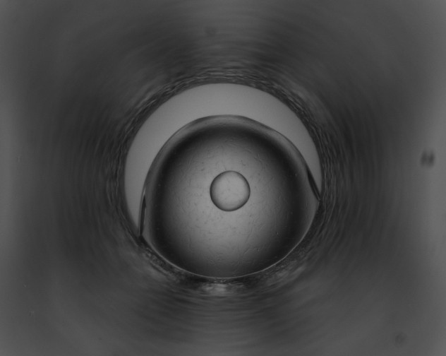 X0000091460558200708301833