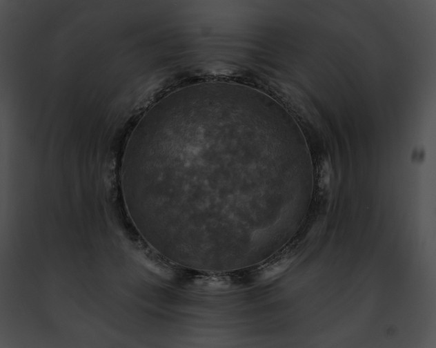 X0000091460559200708301833