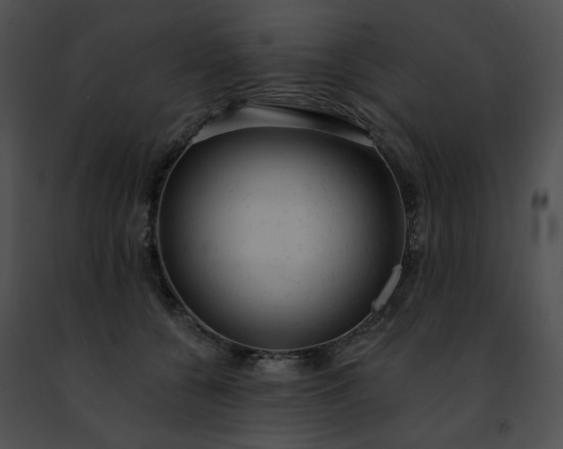 X0000091460560200708301833