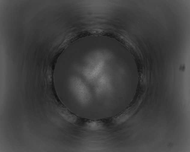 X0000091460561200708301833