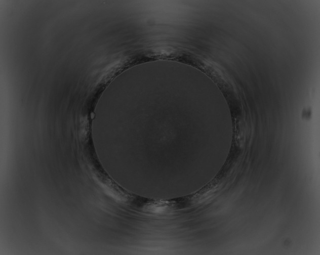 X0000091460563200708301834