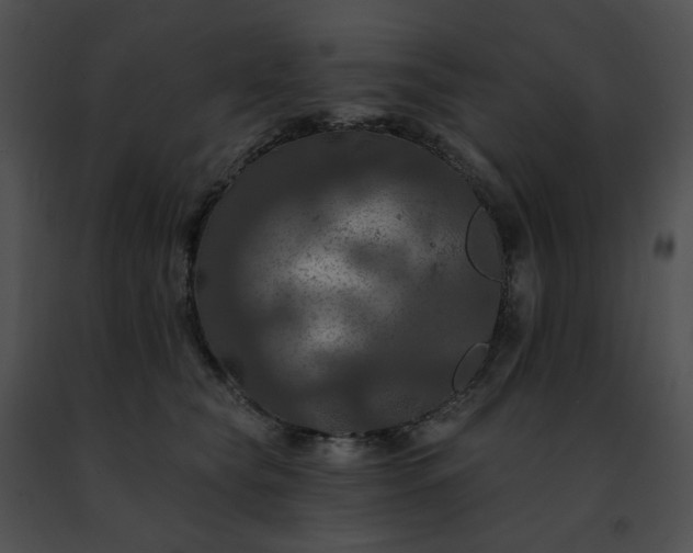 X0000091460565200708301834