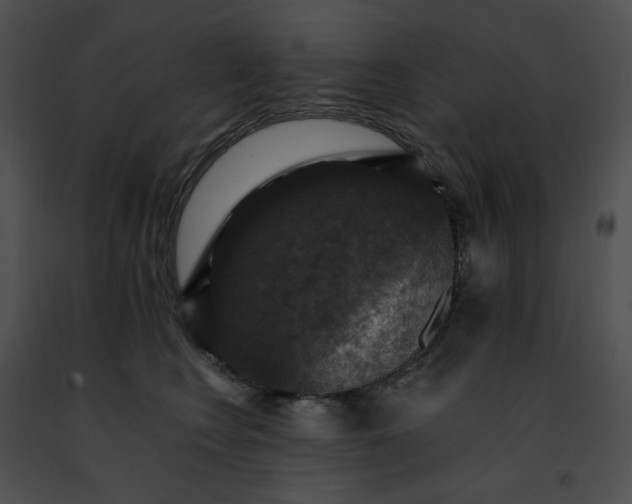 X0000091460566200708301834