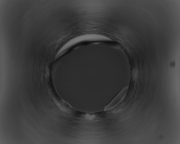 X0000091460570200708301834