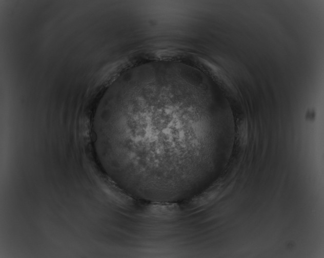 X0000091460571200708301834