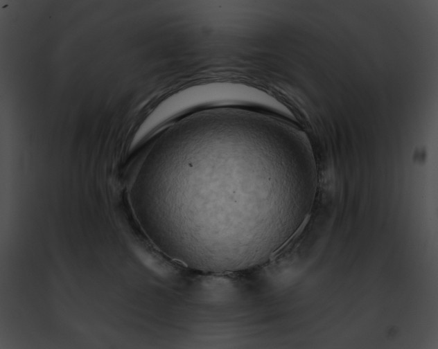 X0000091460572200708301834