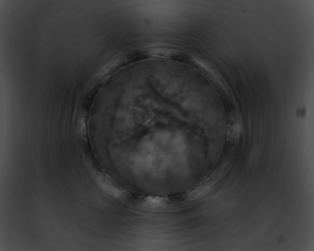 X0000091460573200708301834