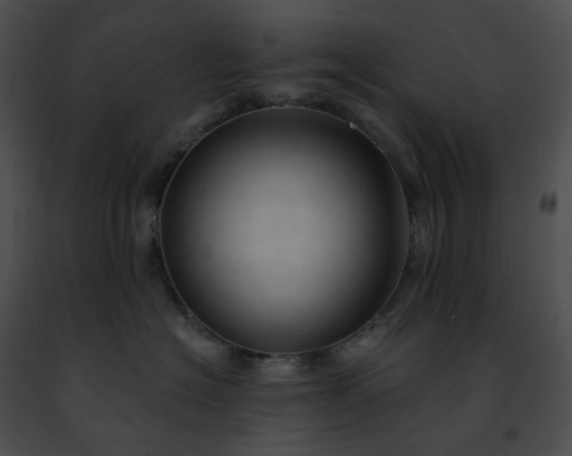 X0000091460574200708301834