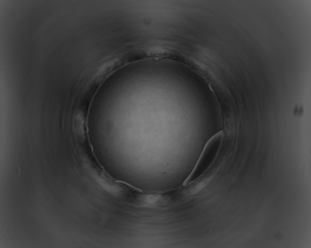 X0000091460575200708301834