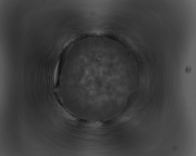 X0000091460576200708301834