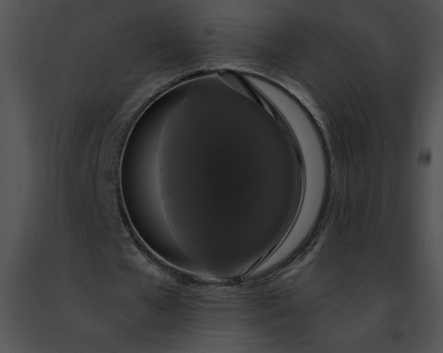 X0000091460577200708301833