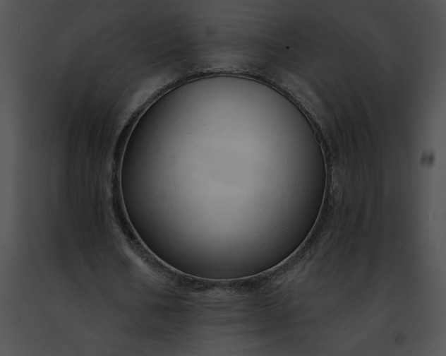 X0000091460578200708301833