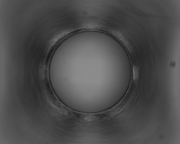 X0000091460579200708301833