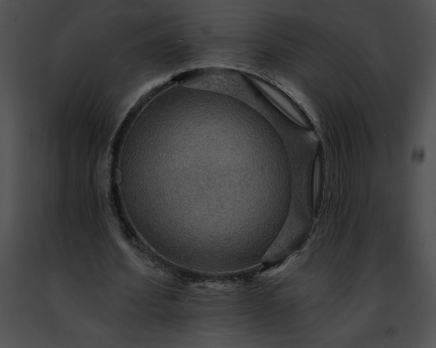 X0000091460580200708301833