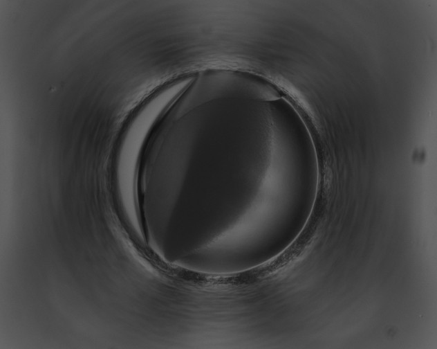 X0000091460581200708301833