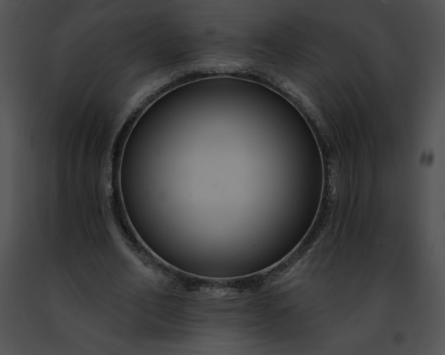 X0000091460582200708301833