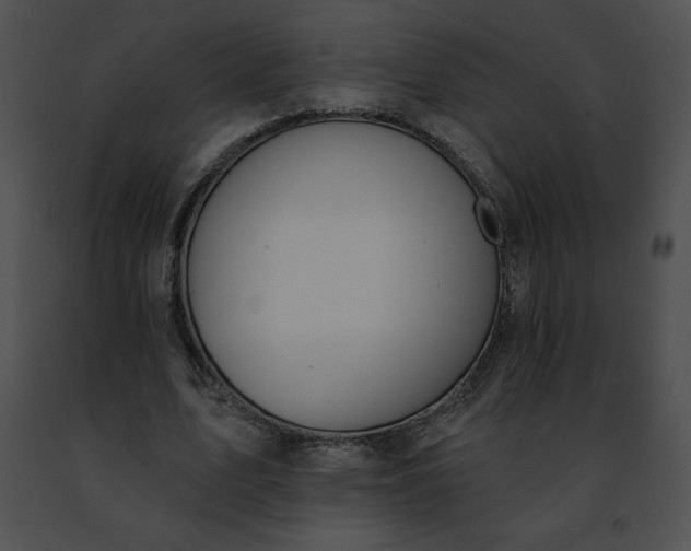 X0000091460583200708301833