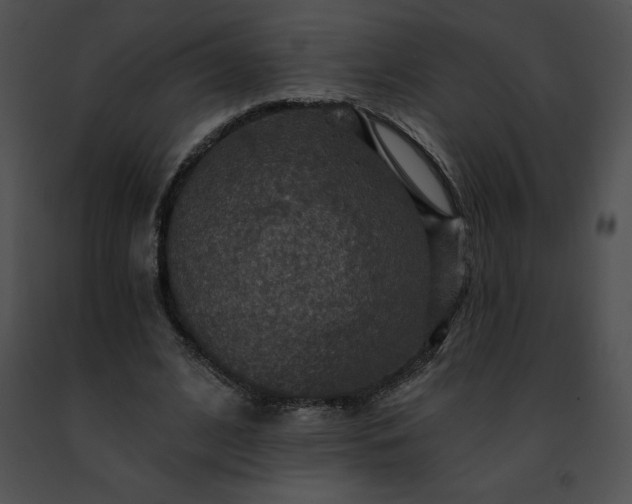 X0000091460584200708301833