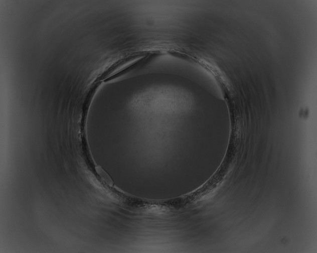 X0000091460585200708301833