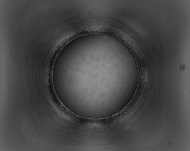 X0000091460586200708301833