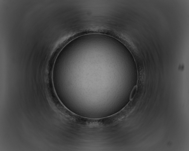 X0000091460587200708301833