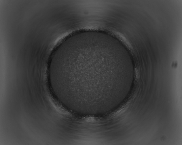 X0000091460588200708301833