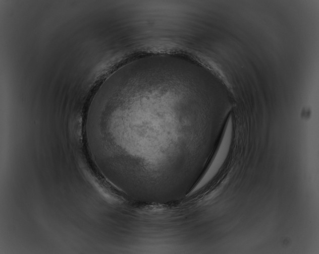 X0000091460589200708301833