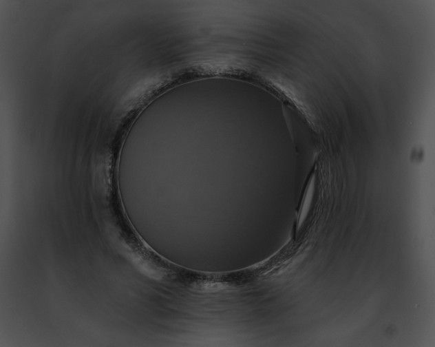 X0000091460590200708301833