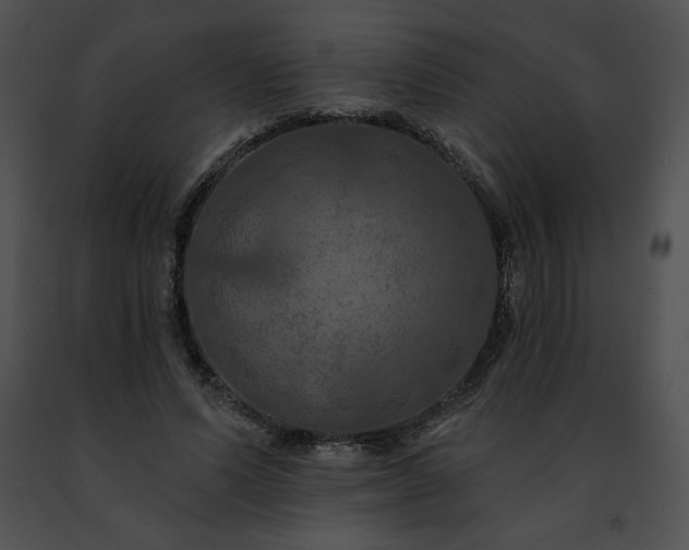 X0000091460591200708301833