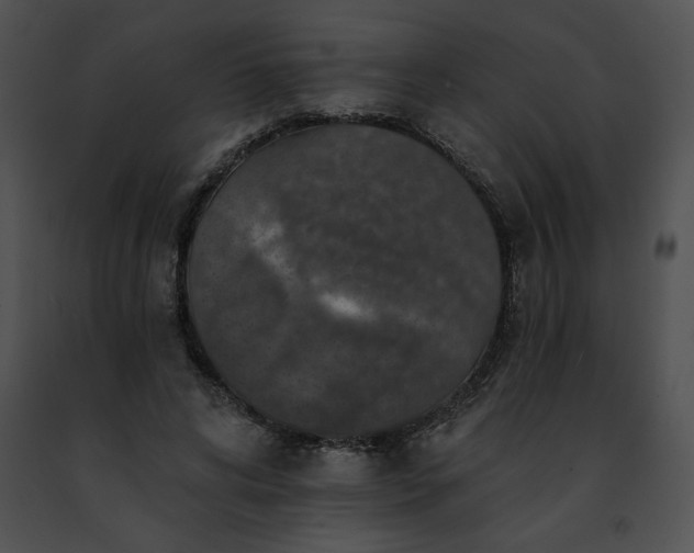 X0000091460592200708301833