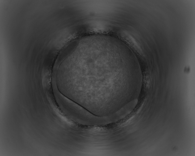 X0000091460593200708301833