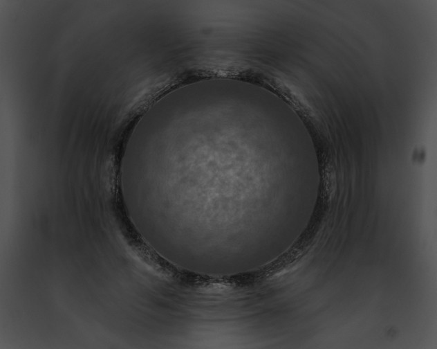 X0000091460594200708301833