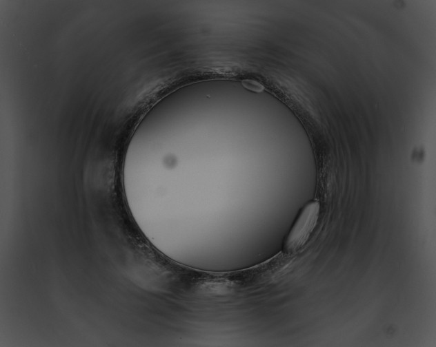 X0000091460595200708301833