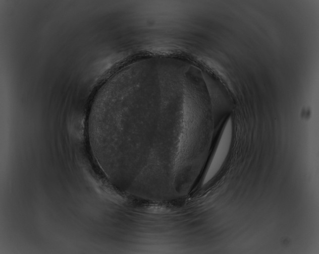 X0000091460596200708301833