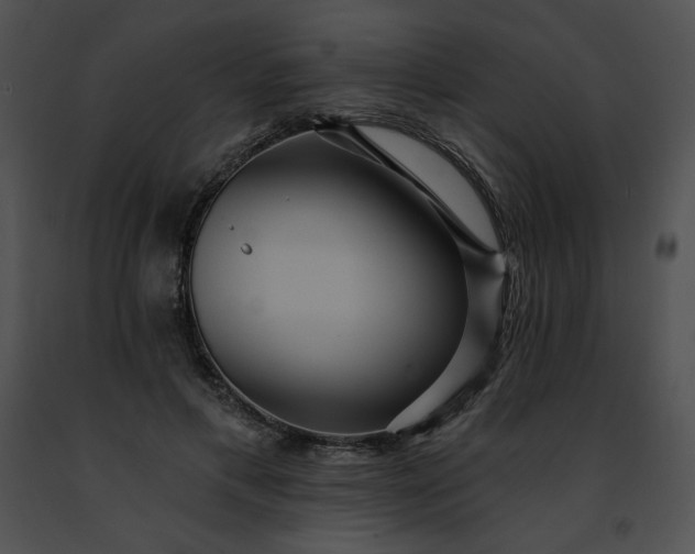 X0000091460597200708301833