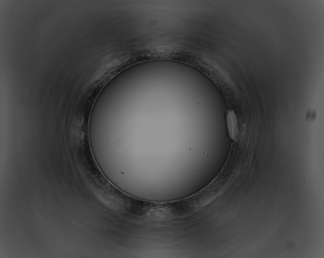 X0000091460599200708301833