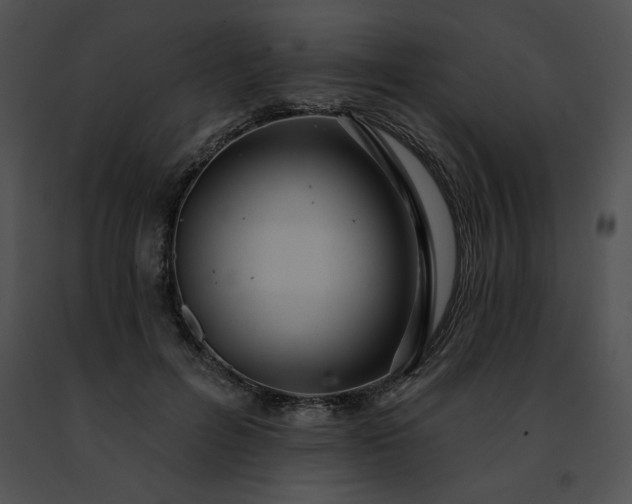 X0000091460600200708301833