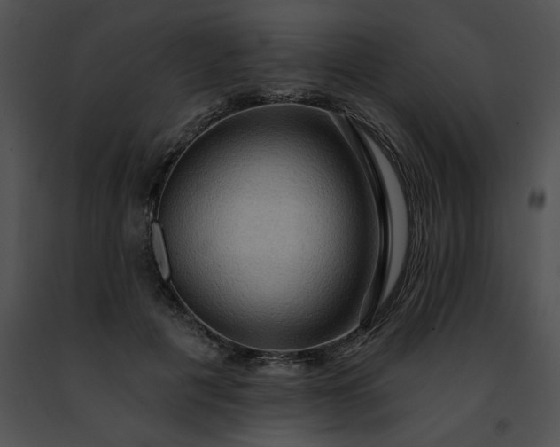 X0000091460601200708301833