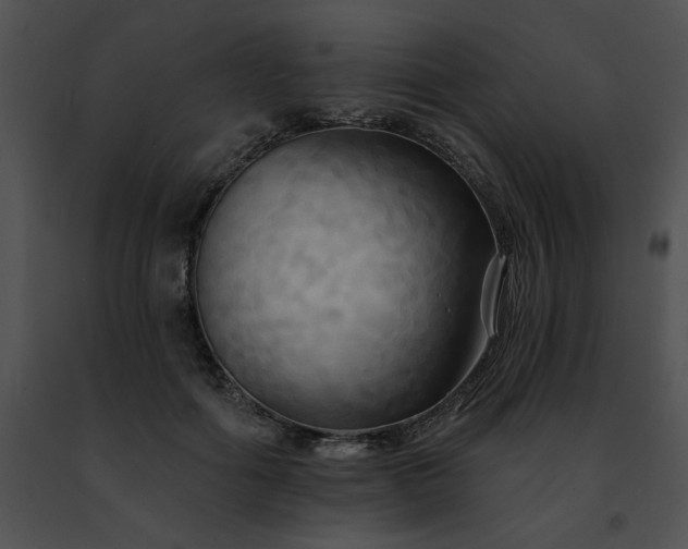 X0000091460602200708301833