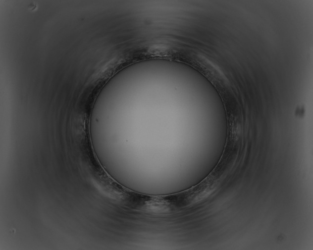 X0000091460603200708301833