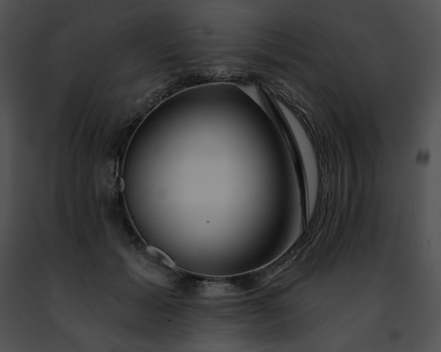 X0000091460605200708301833