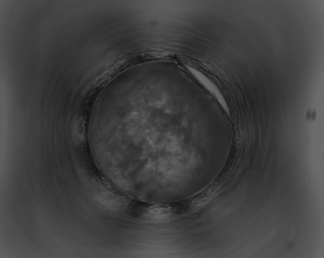 X0000091460606200708301833