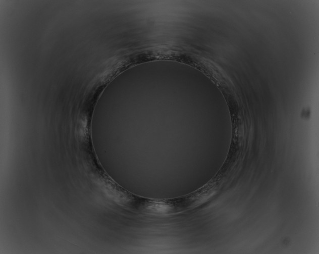 X0000091460610200708301833