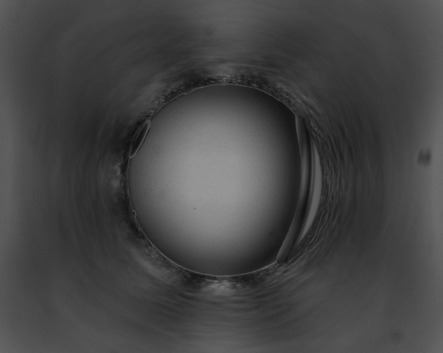 X0000091460611200708301833